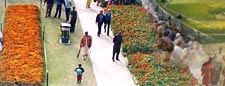 Chandigarh Rock Garden