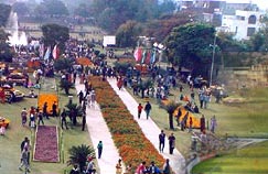 Garden Festival in Chandigarh