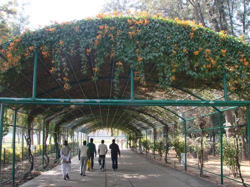 Chandigarh Rose Garden